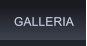 GALLERIA GALLERIA